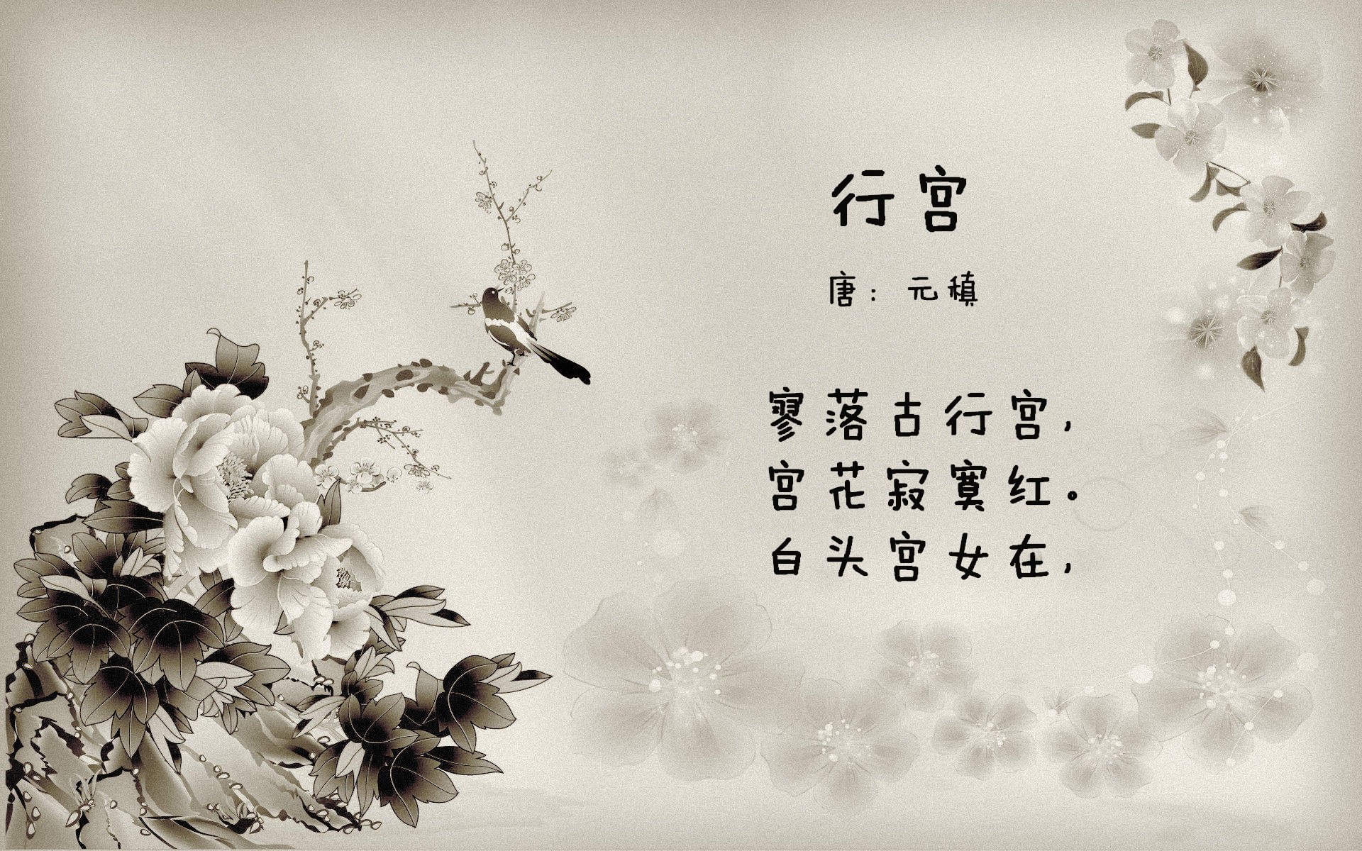 _星空中瑜伽：与银河同行的片刻宁静_，空中瑜伽音乐歌曲
