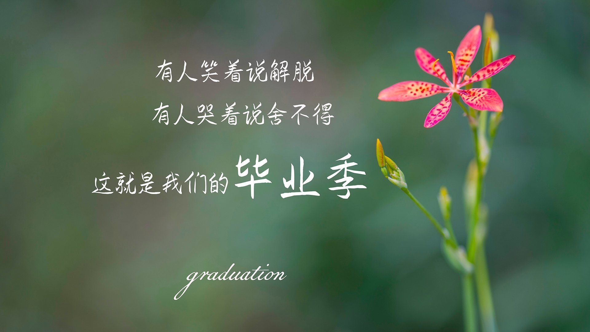 _街头滑板争霸赛：年轻人运动潮流引领者_，滑板 街头