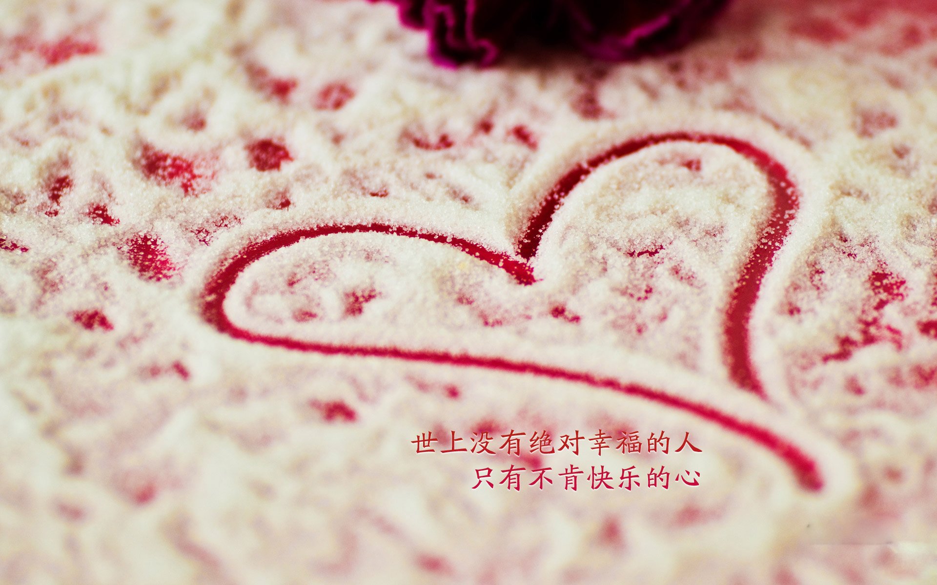 _骑士青年车队崭露头角，期待未来_，青骑士杂志
