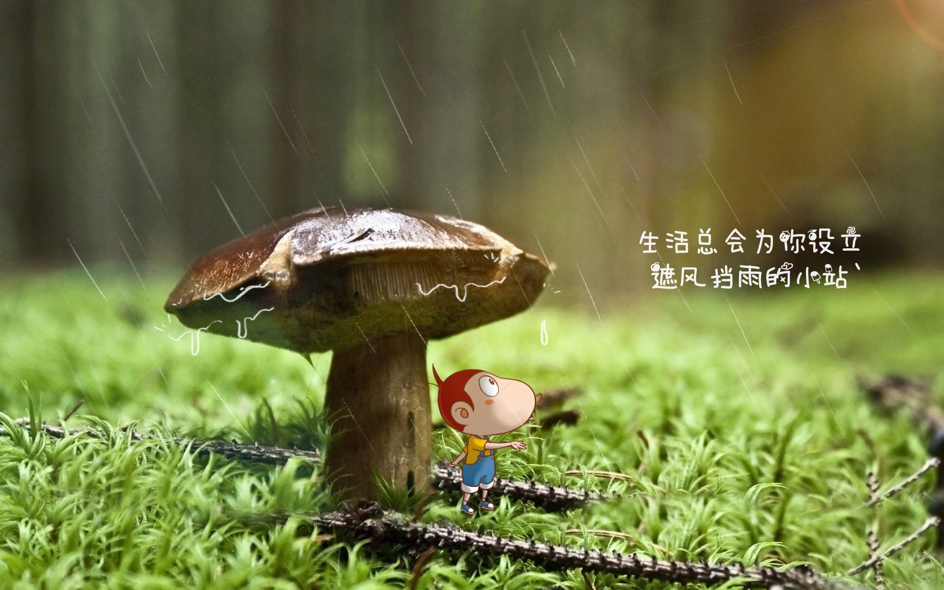 “德甲惊喜不断，新晋强队追逐榜首”，德甲老牌强队