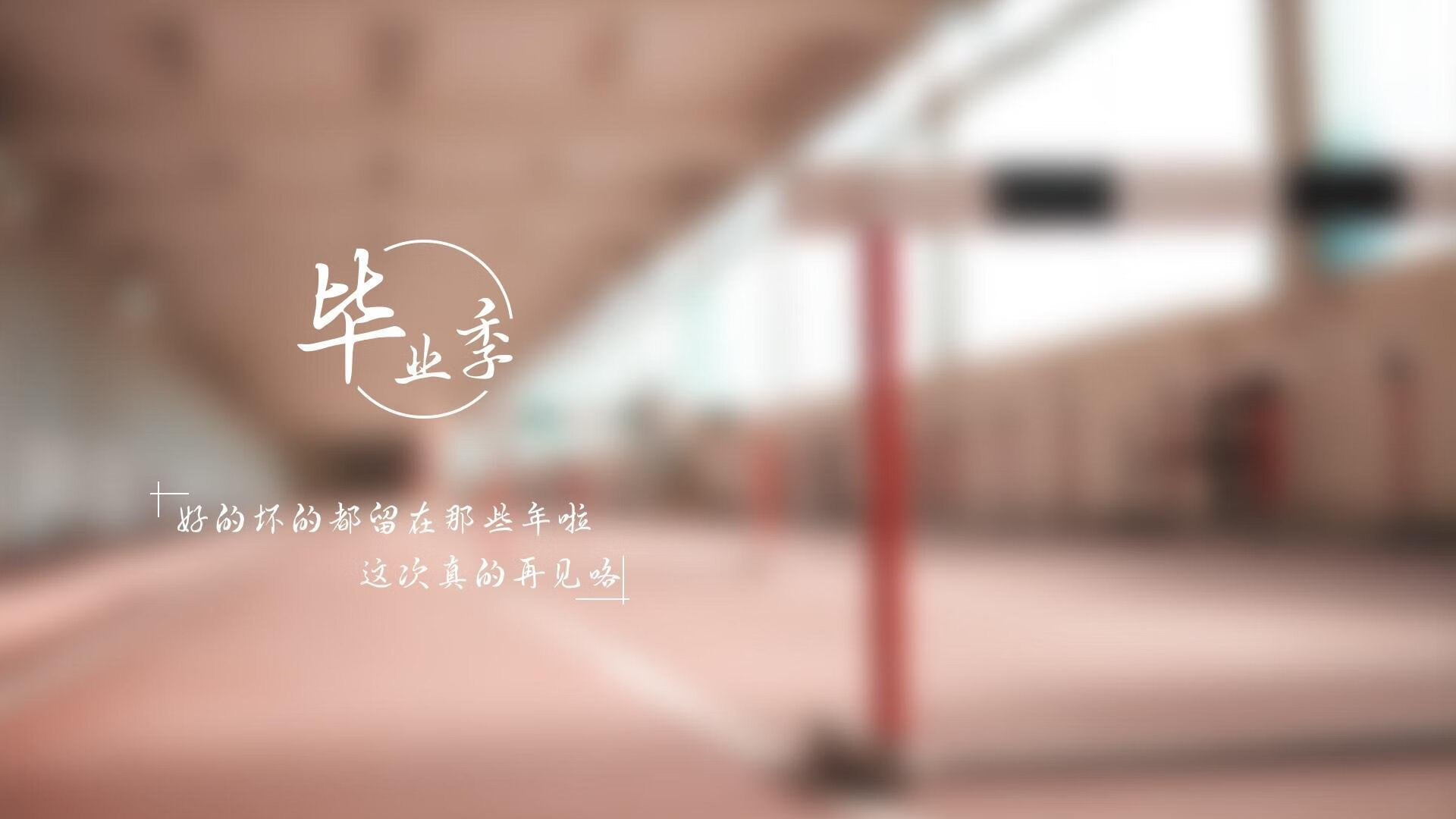 伊朗骑手阿里·巴赫蒂亚里在巴黎奥运会上与“Shahram”马匹共同参赛，尽管因马匹受伤被迫退出，但展现了坚强意志。