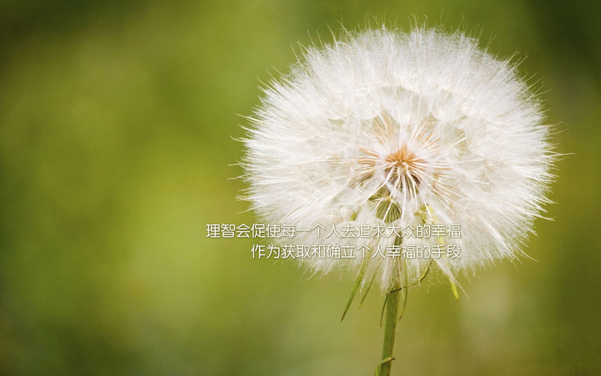 史上最“炸裂”的盖帽集锦，你最喜欢哪个球员？，盖帽集锦高清视频