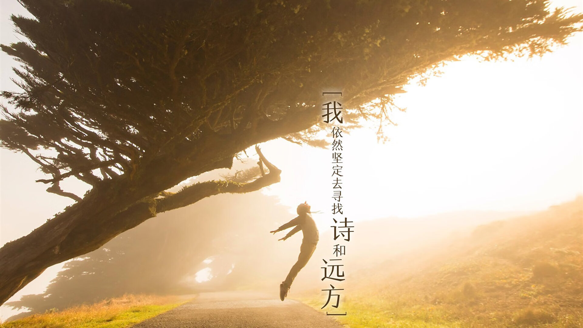 阿尔梅里亚是否应改变保守打法，阿尔梅里亚地图