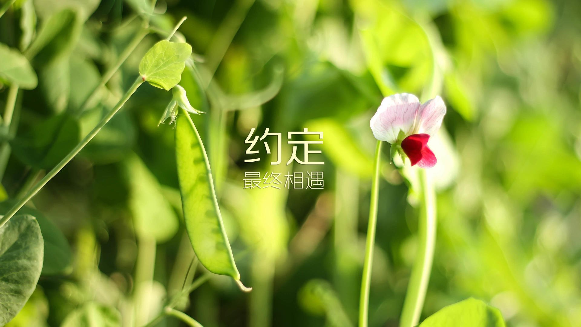体育产业市场调研分析，体育产业调查