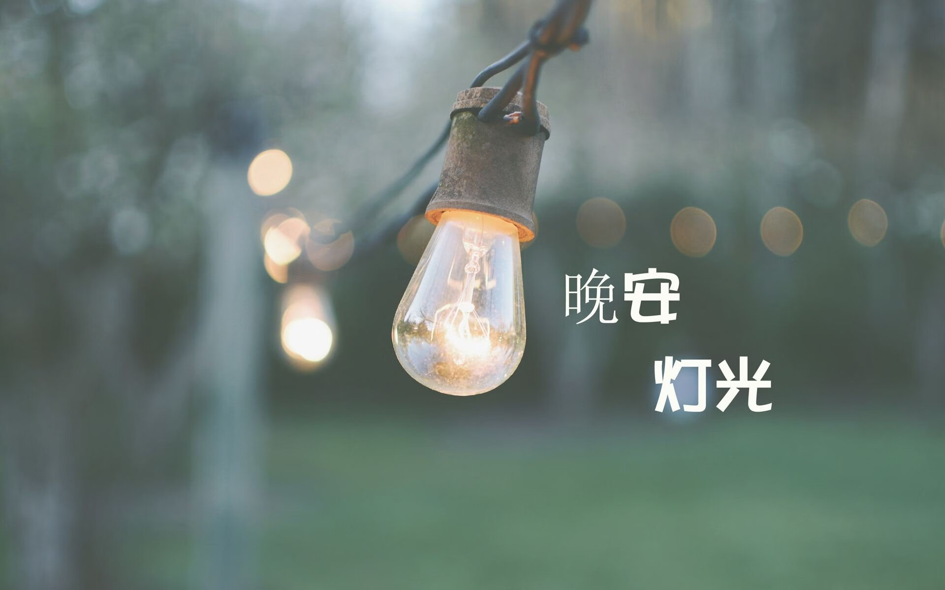 印度赛制的未来:创新与传统并行,印度40强赛