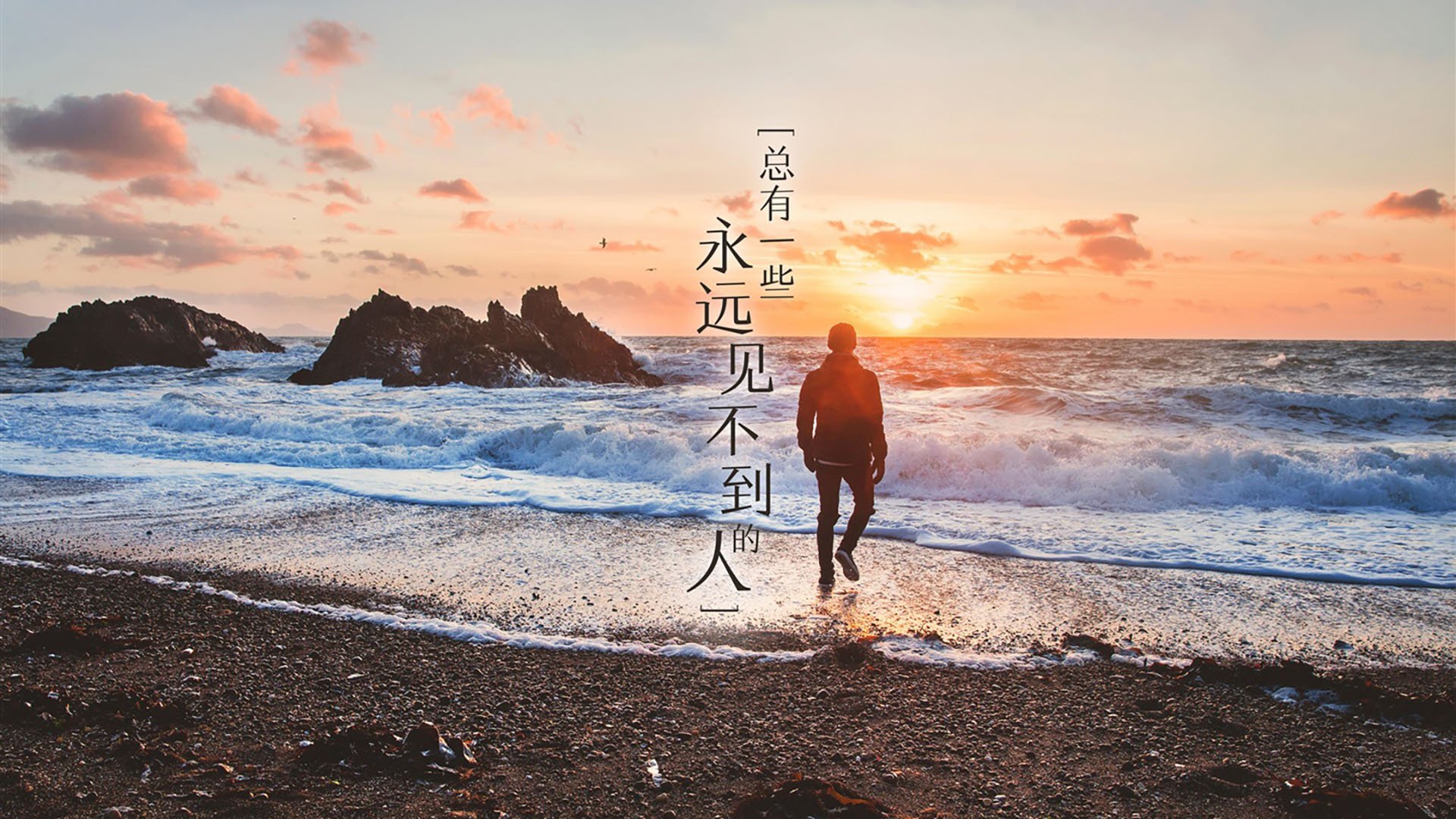 德国新秀展现未来潜力,德国潜力新星