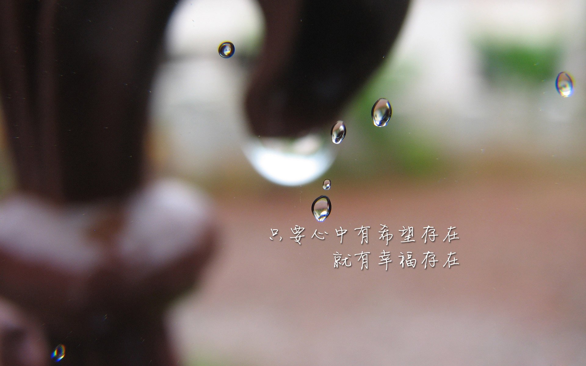 自由泳女将巅峰对抗 速度与心理双比拼,自由泳女高手视频欣赏
