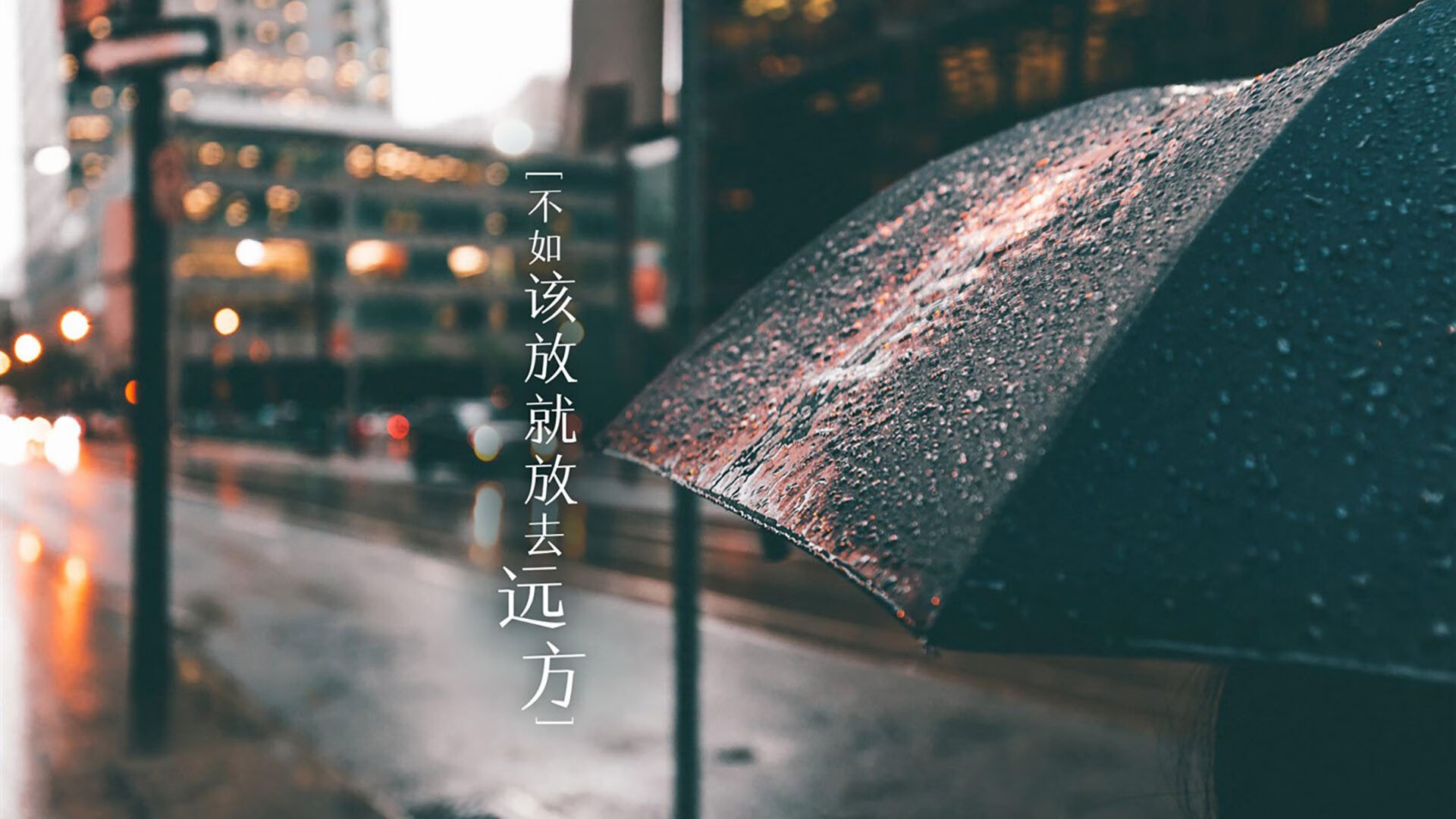 “萨尔·巴赫:南非橄榄球未来的领军人物”