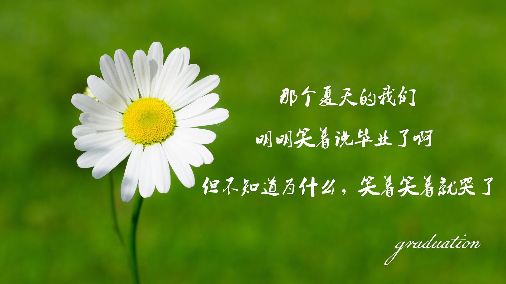 新兴强队崛起,谁能威胁澳大利亚男队?,澳大利亚新星