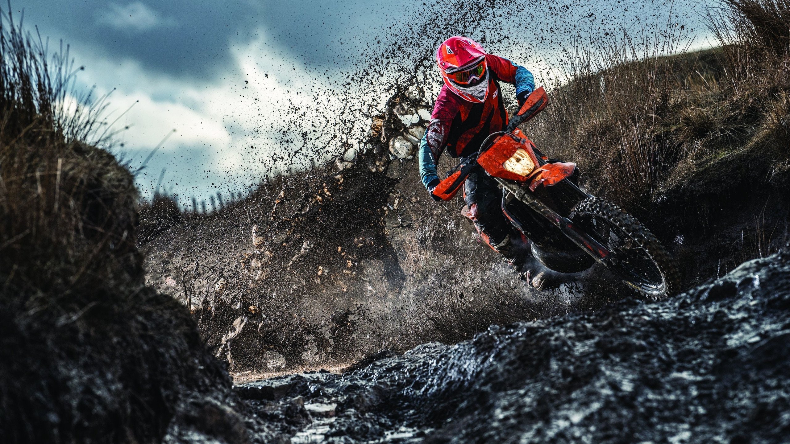 智能青训“全链条”管理平台在行业中逐步普及，行业数字化持续深入